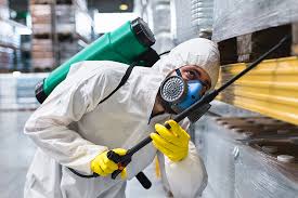 Best Pest Exclusion Services  in St Elmo, IL